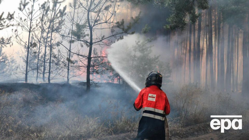Збитки довкіллю внаслідок загорянь сягнули 38,4 млрд грн