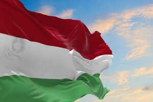 Ковач написав, що заяви України не змінять позиції Угорщини