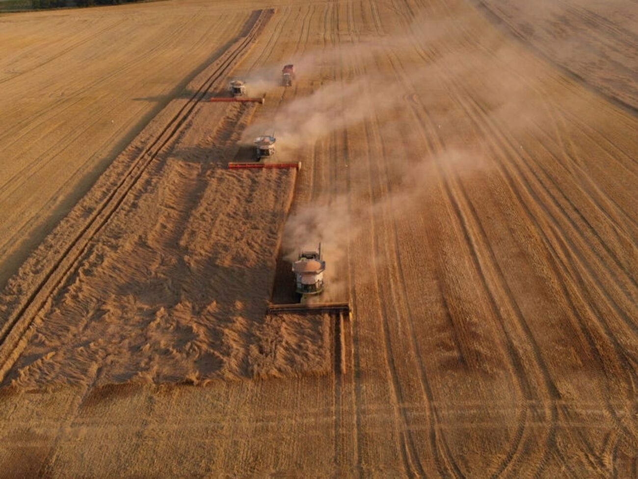 Окупанти вивозять зерно з тимчасово окупованих територій