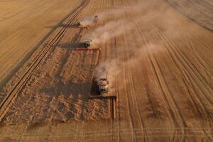 Окупанти вивозять зерно з тимчасово окупованих територій