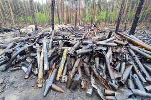 Процесс разминирования территории Украины после вторжения РФ займет годы, считают в МВД