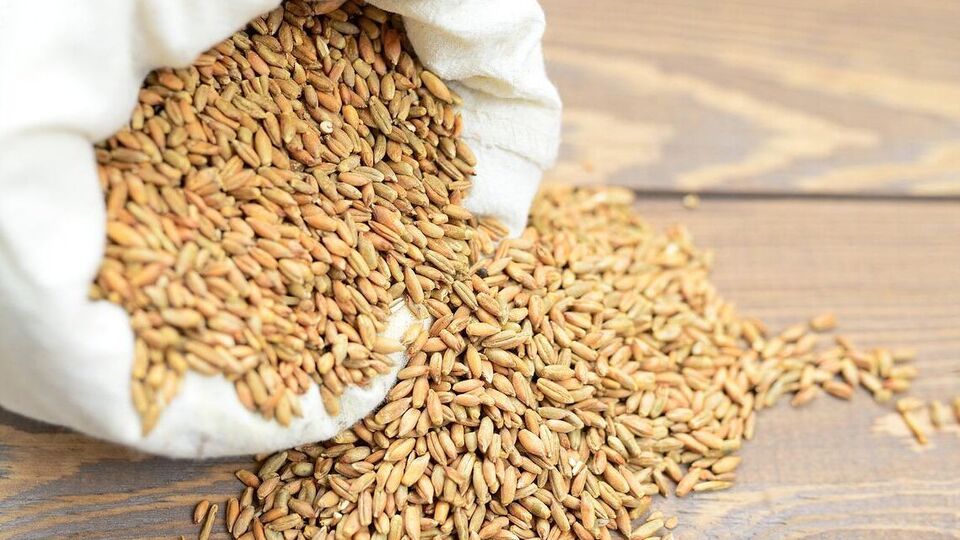 Подоляк: Росія продовжує вивозити криваве українське зерно