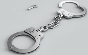 Об аресте генерала Цаплиенко узнал из "интересного аудиоперехвата"