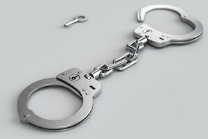 Об аресте генерала Цаплиенко узнал из "интересного аудиоперехвата"