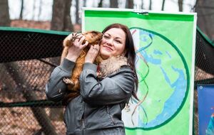 Сурок Тимка каждый год 2 февраля предсказывает наступление весны