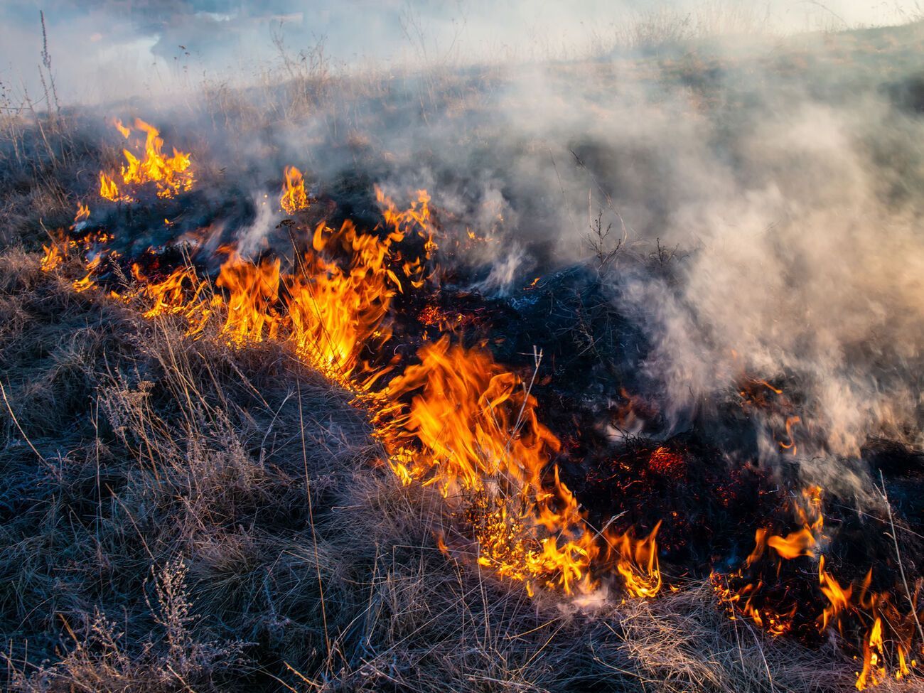 Рятувальники вже гасять пожежі