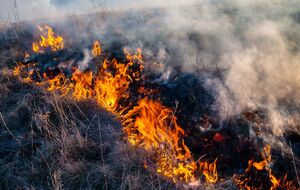 Спасатели уже тушат пожары