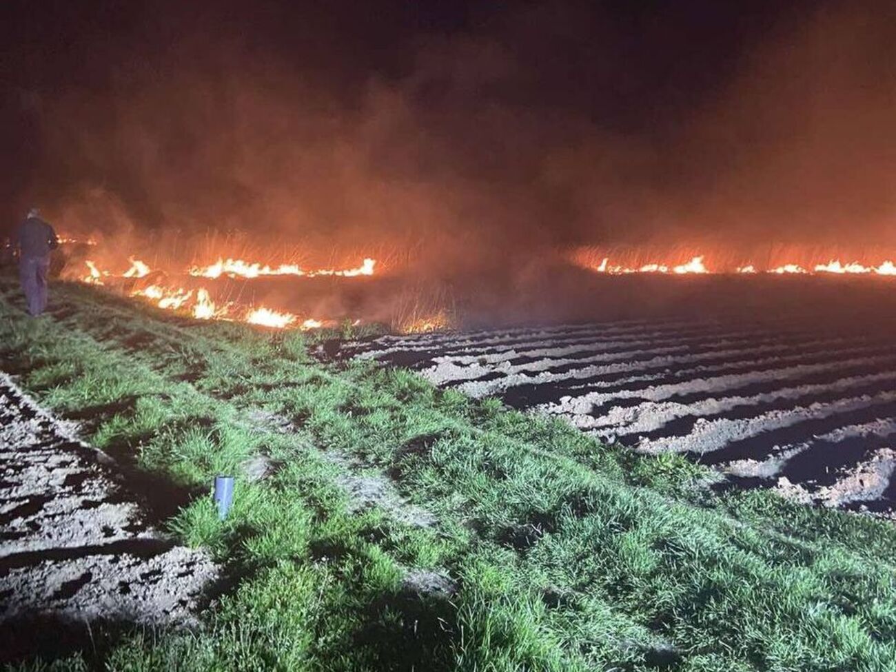 В Киевской области&nbsp;в результате падения обломков ракеты загорелся кустарник