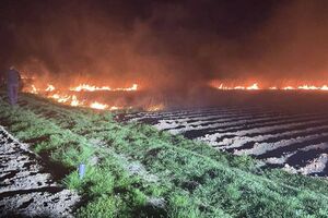 В Киевской области в результате падения обломков ракеты загорелся кустарник