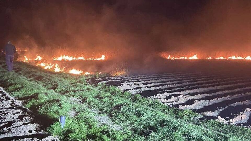 У Київській області внаслідок падіння уламків ракети спалахнув чагарник