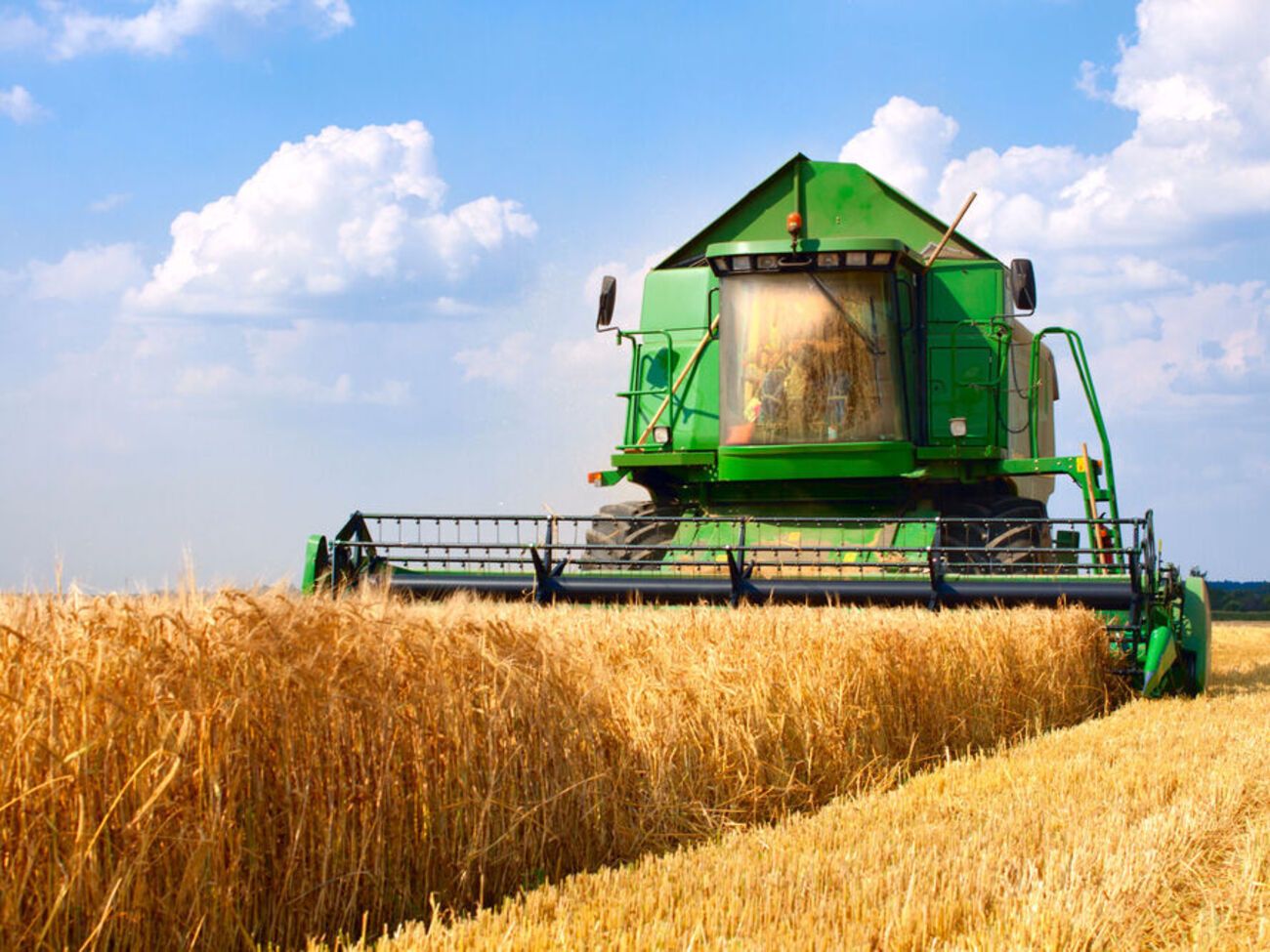 Окупанти масово вивозять зерно з Мелітополя