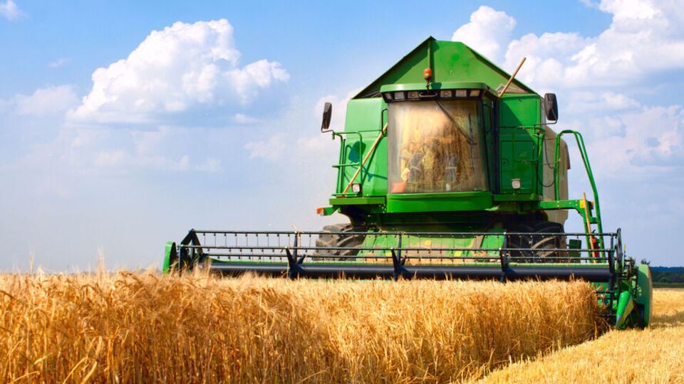 Окупанти масово вивозять зерно з Мелітополя