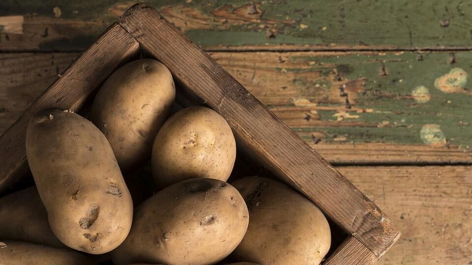 Автохолдинг продає своїм співробітникам насіння картоплі