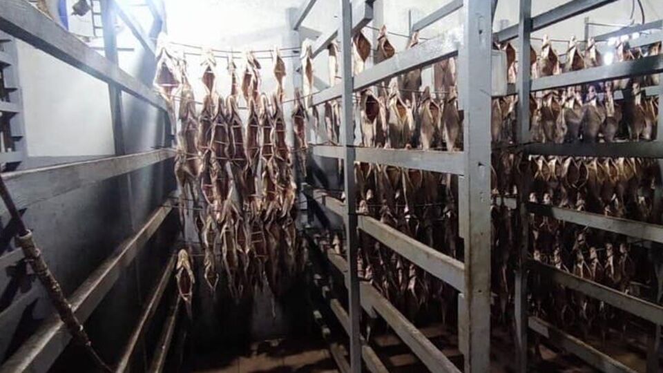 В области провели обыски и выявили выловленную рыбу без подтверждающих документов