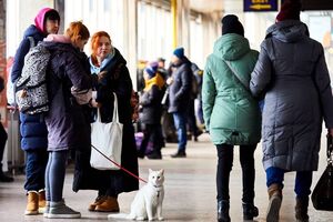 Найчастіше українці везуть у пасажирських поїздах котів та собак
