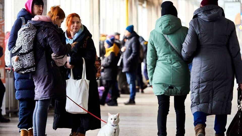 Чаще всего украинцы везут в пассажирских поездах кошек и собак