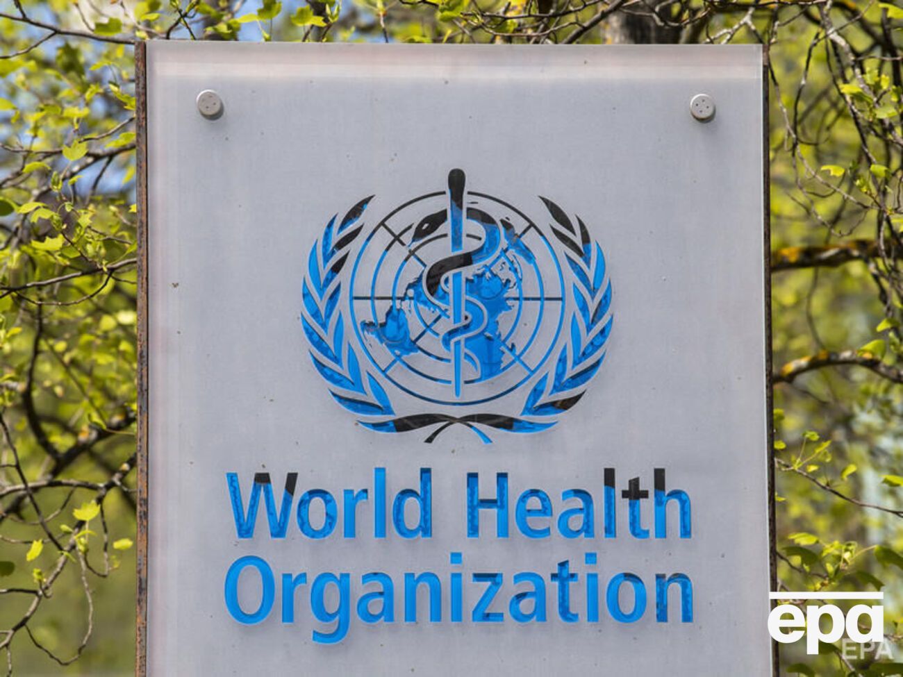 У ВООЗ підтвердили 200 нападів окупантів на систему охорони здоров'я України