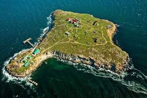 Оккупанты активизировали деятельность вокруг захваченного острова Змеиный