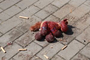 Cамой маленькой жертве российской агрессии, погибшей после 24 февраля, было 23 дня, сообщила генпрокурор