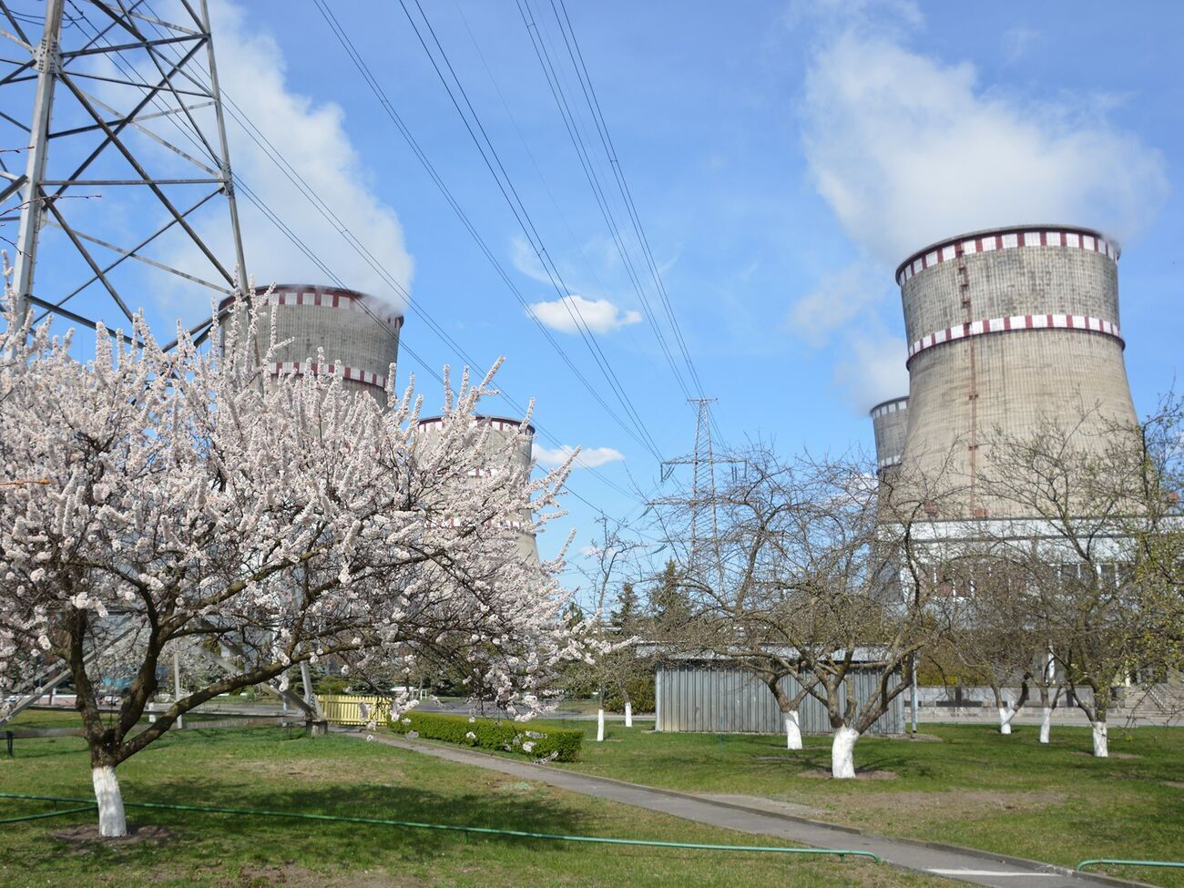 Глава "Энергоатома" рассказал об убытках компании