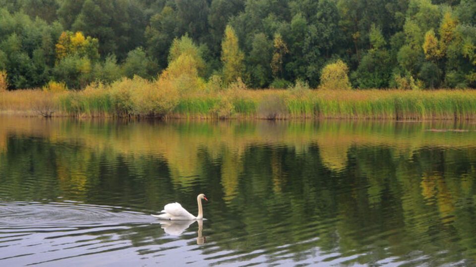 У міськраді вирішили періодично проводити рейди на озеро