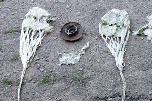 Снаряды россияне сбросили на Золочев утром 14 июня
