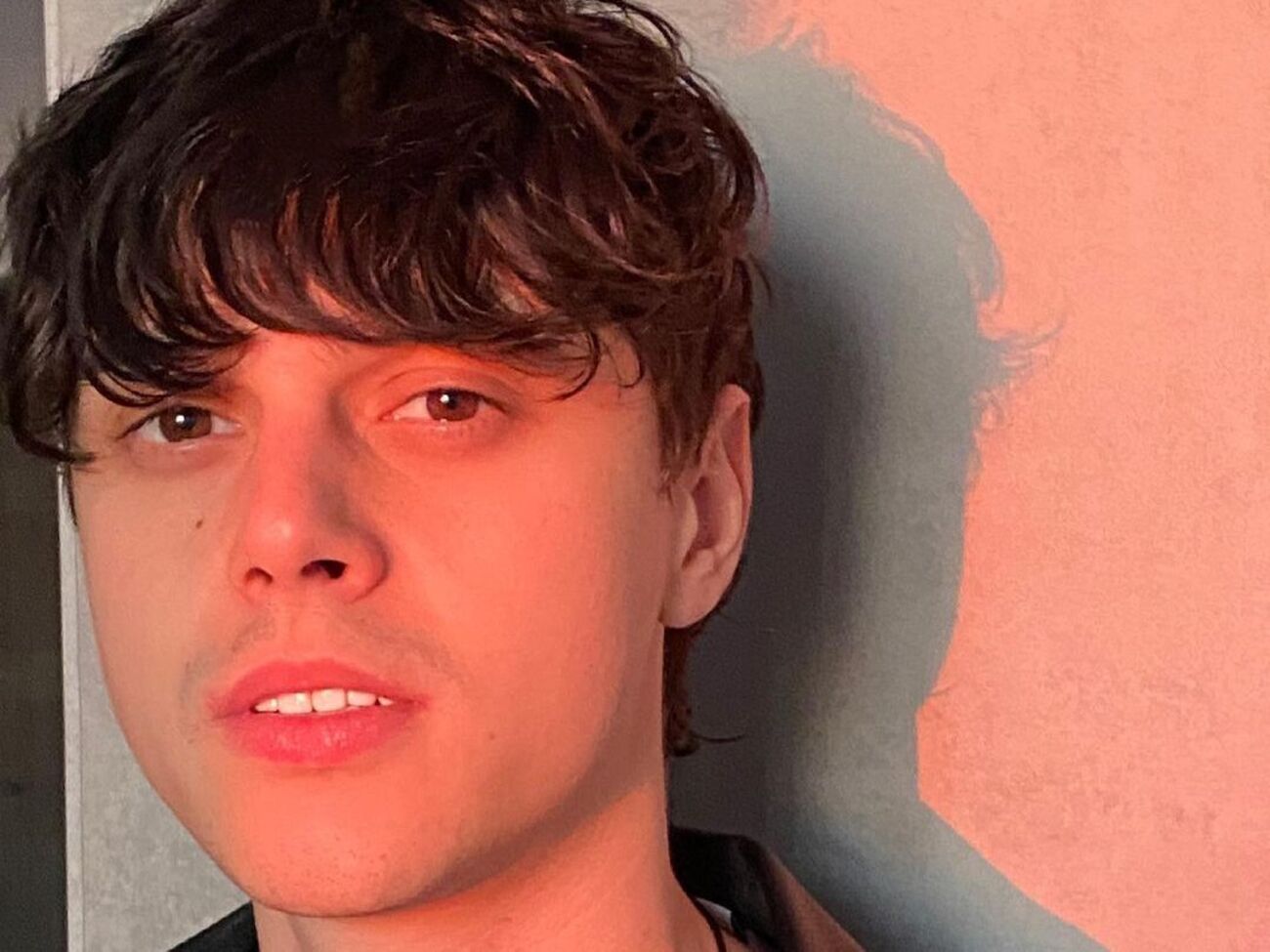 О романе Alekseev и Синецкой стало известно в ноябре 2020 года