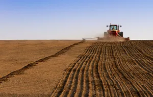 У звітності холдингу було "намальовано" не лише земельний банк і врожайність, а й фінансові результати окремих компаній, пише "Апостроф"