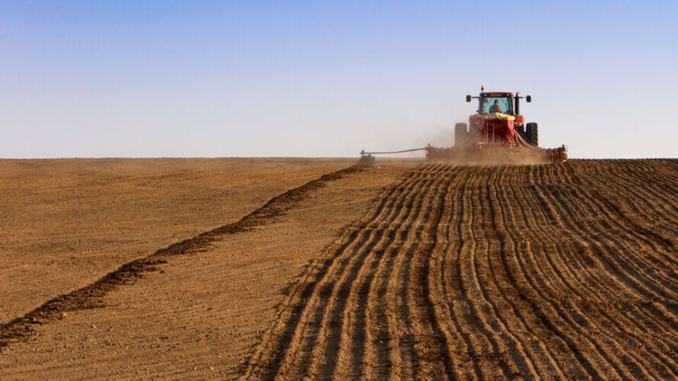В отчетности холдинга были "нарисованы" не только земельный банк и урожайность, но и финансовые результаты отдельных компаний, пишет "Апостроф"