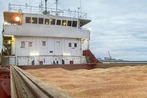 Если Украина не сможет разблокировать морские пути экспорта, ей придется хранить невывезенный урожай, отметили в Минагрополитики