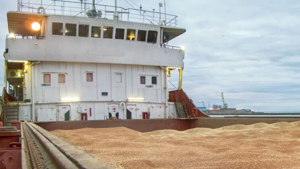Якщо Україна не зможе розблокувати морські шляхи експорту, їй доведеться зберігати невивезений урожай, зазначили у Мінагрополітики