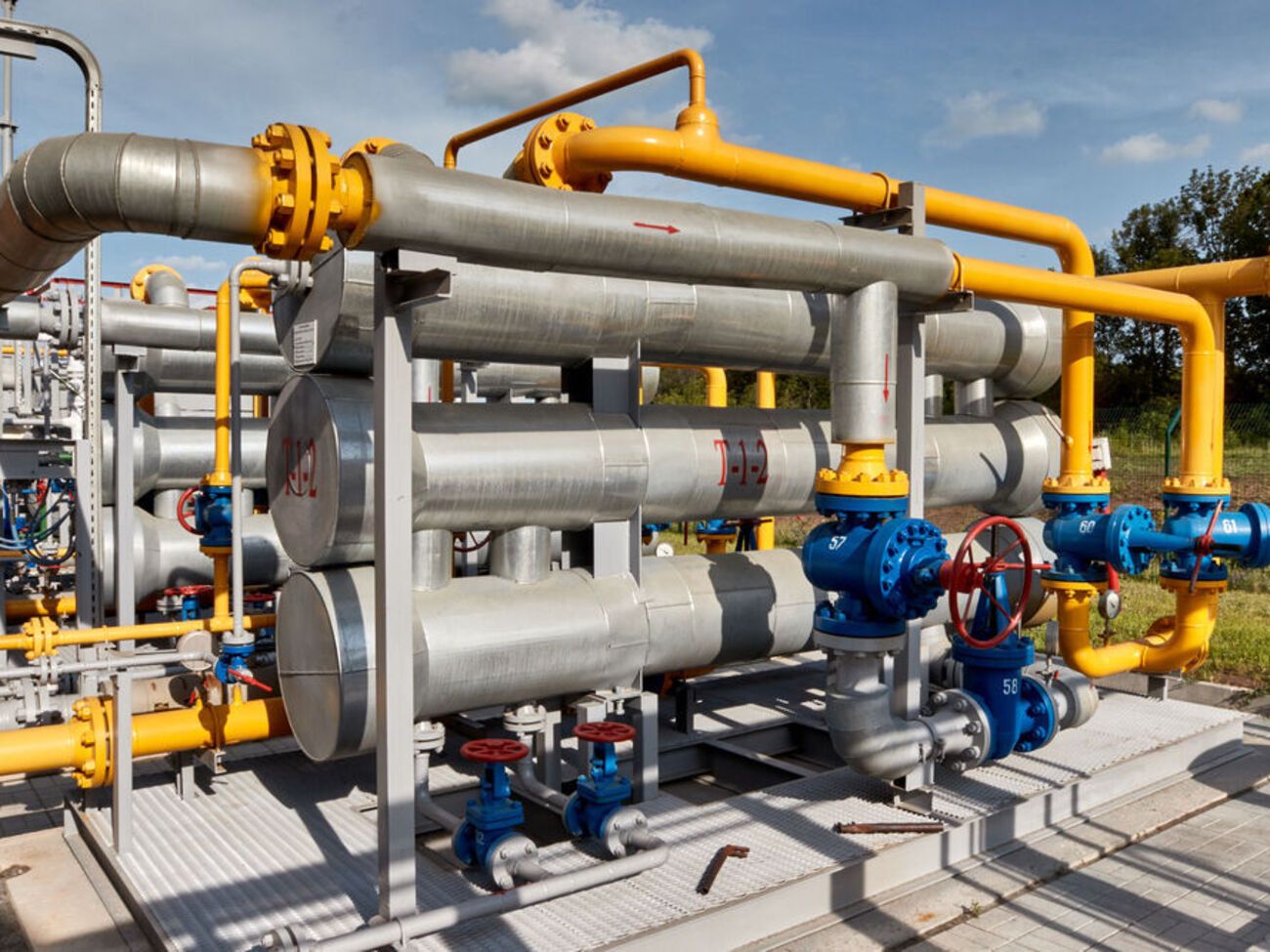 В Германии ожидают, что&nbsp;к концу года сократят долю поставок российского газа до 30%