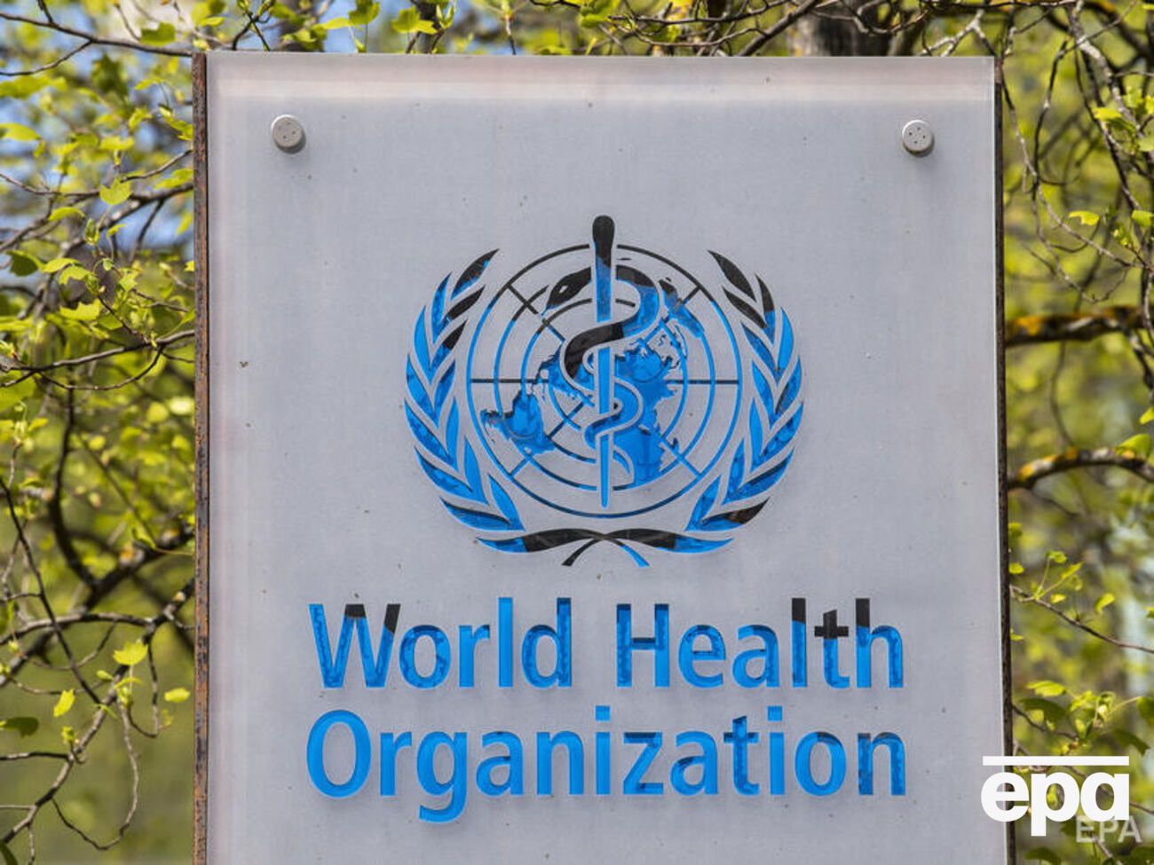 Среди людей с психическими расстройствами около 14%&nbsp;&ndash; подростки, отметили в ВОЗ