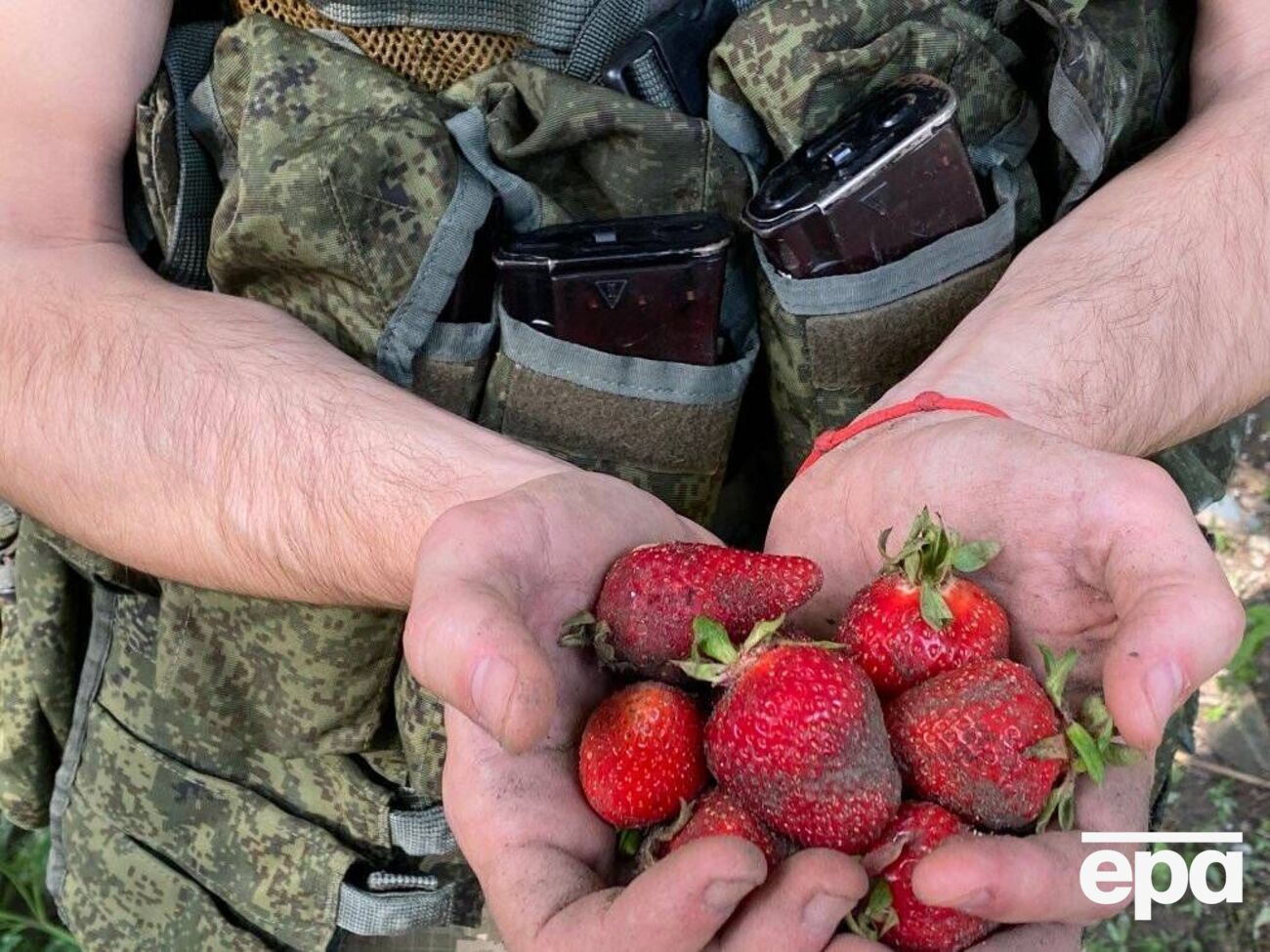 Оккупанты приходят к жителям Херсонской области и пытаются наняться на сбор&nbsp;клубники, отметило командование "Юг"