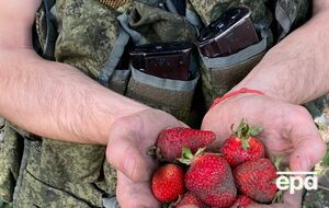 Оккупанты приходят к жителям Херсонской области и пытаются наняться на сбор клубники, отметило командование "Юг"