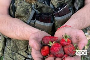 Оккупанты приходят к жителям Херсонской области и пытаются наняться на сбор клубники, отметило командование "Юг"