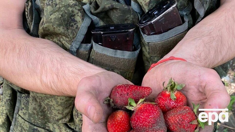 Окупанти приходять до жителів Херсонської області та намагаються найнятися на збирання полуниці, зазначило командування "Південь"