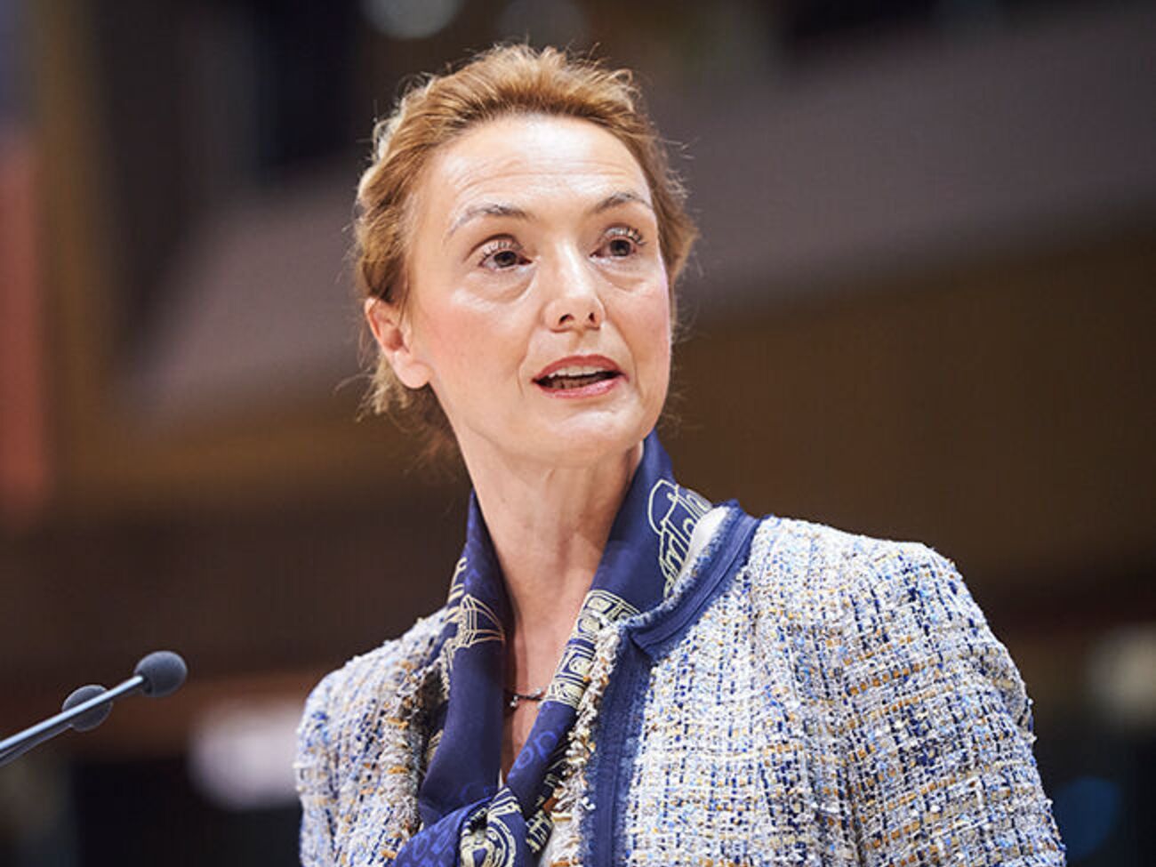 Пейчинович-Бурич назвала решение Рады "шагом вперед в защите женщин и девочек от всех форм насилия"