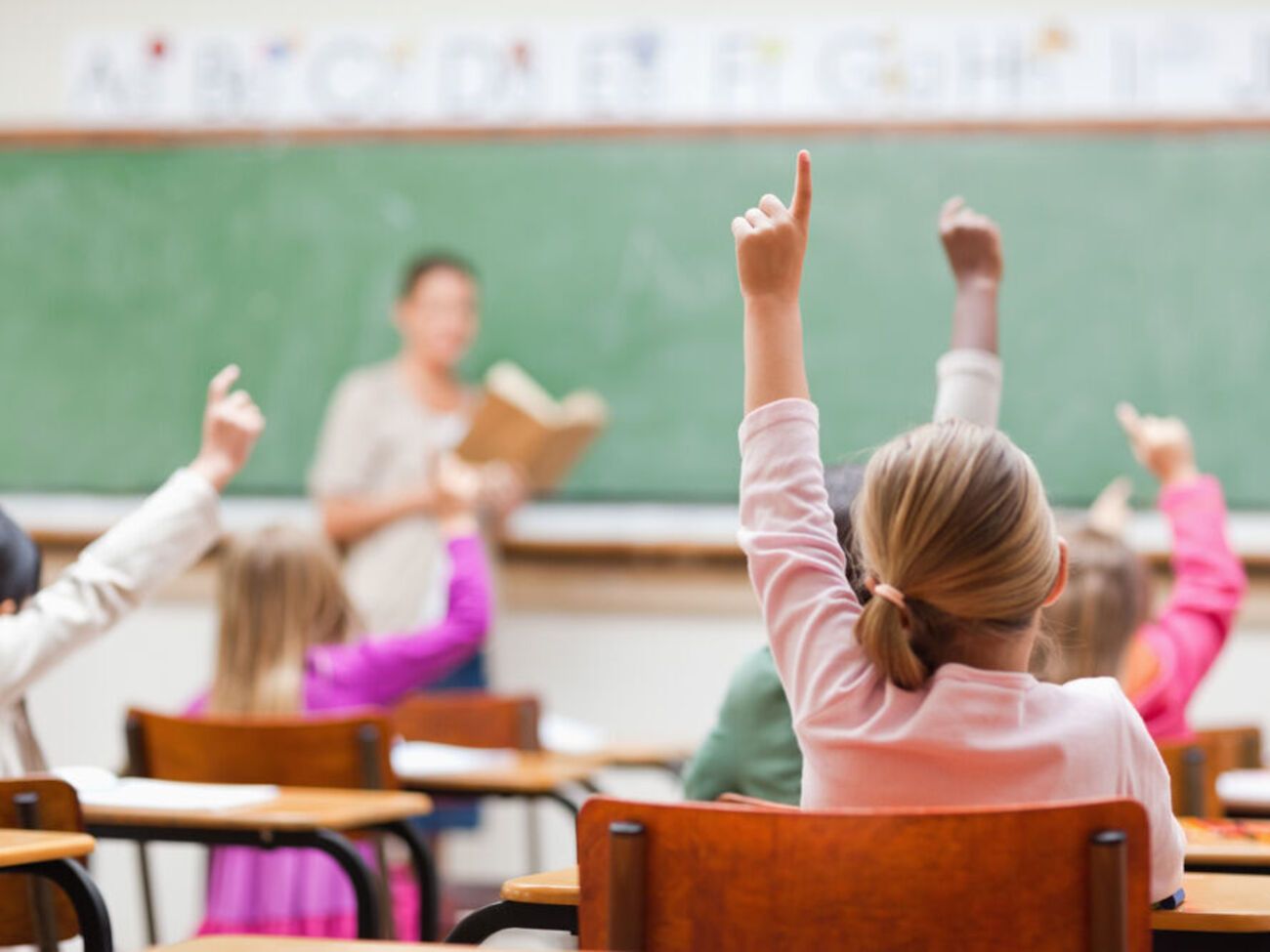 В Украине могут изъять из школьной программы всех российских писателей