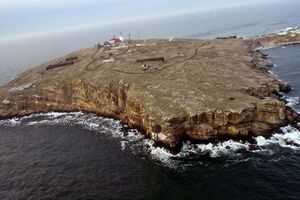 Змеиный сейчас временно контролируют оккупанты