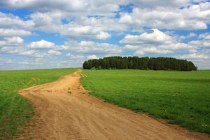 Оккупанты заминировали грунтовую дорогу