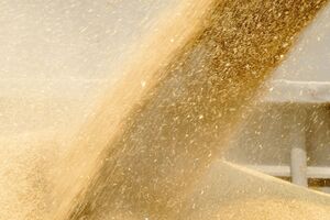 На элеваторах на захваченных Россией территориях в момент оккупации было 1,5 млн тонн зерна, сообщили в министерстве