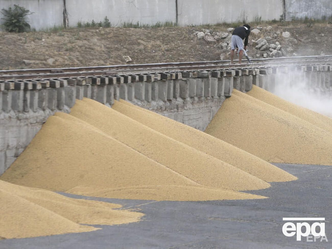 Генетическое исследование может определить происхождения урожая