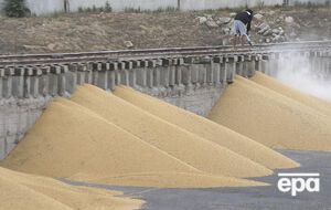 Генетическое исследование может определить происхождения урожая