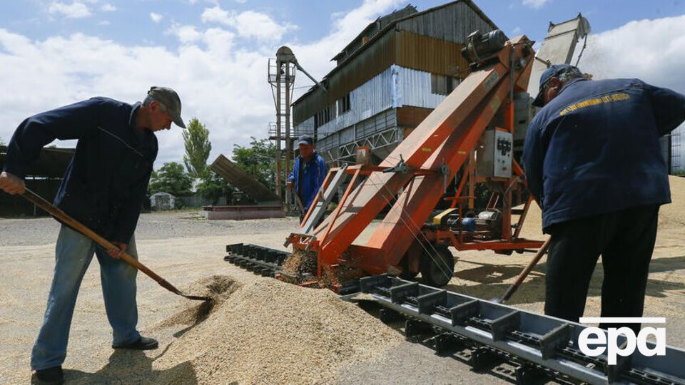 В офисе Джонсона заявили, что продовольственный кризис требует "решения на международном уровне"