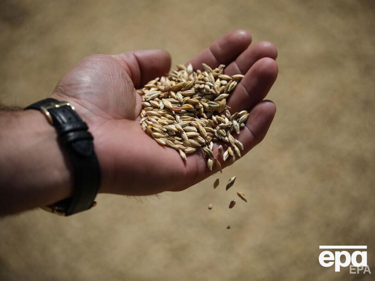 Россия блокирует экспорт украинского зерна морскими путями