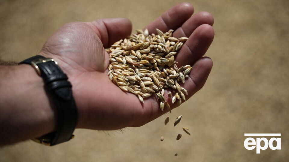 Россия блокирует экспорт украинского зерна морскими путями