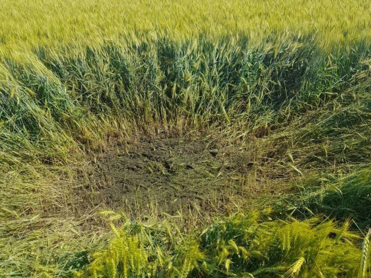 На месте падения коптера оккупантов осталась немалая воронка, отметили в Госпогранслужбе Украины