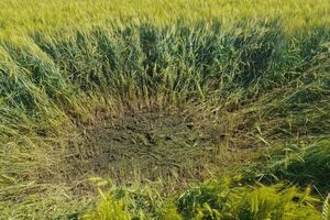 На місці падіння коптера окупантів залишилася чимала вирва, зазначили у Держприкордонслужбі України