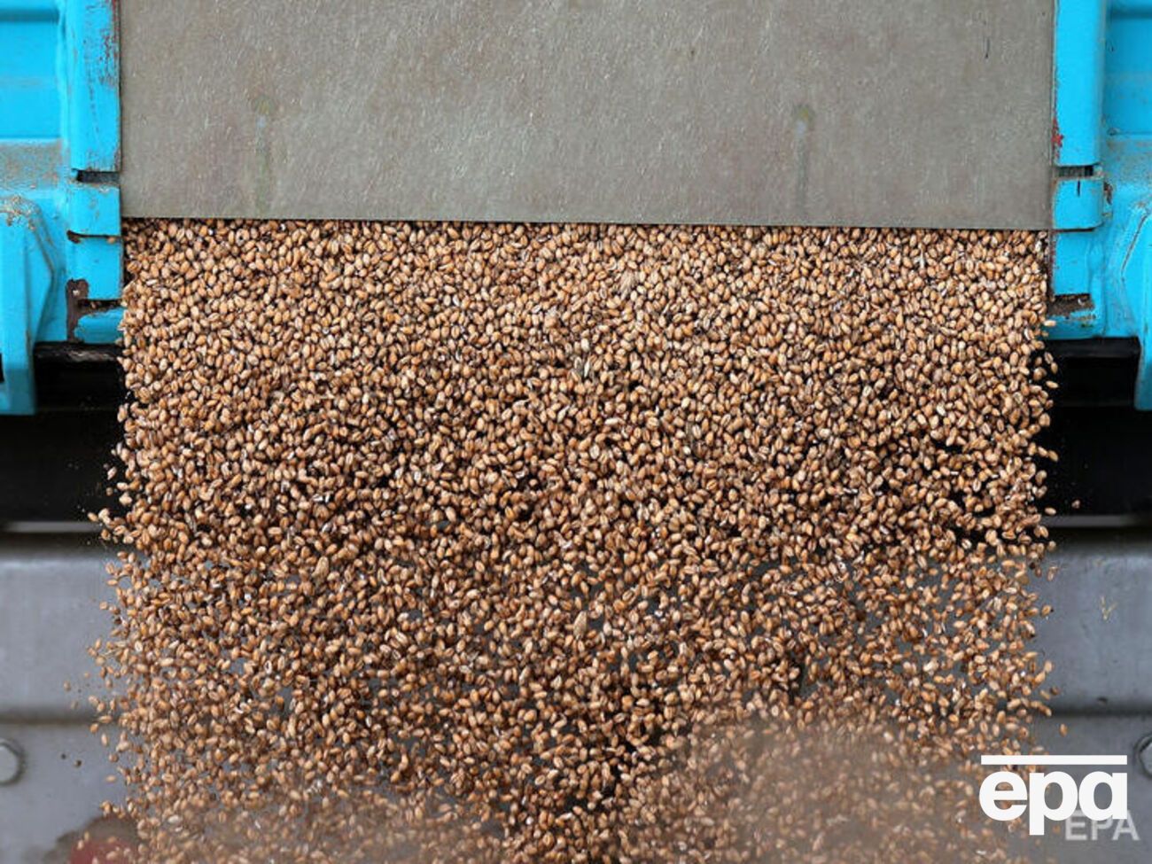 Россияне украли почти 0,5 млн тонн зерна с оккупированных территорий